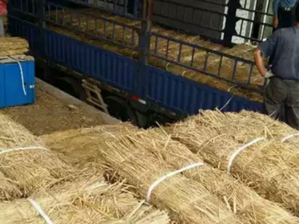 使用條形草支墊有哪些注意事項(xiàng)？